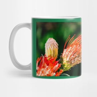 Tendrils Mug